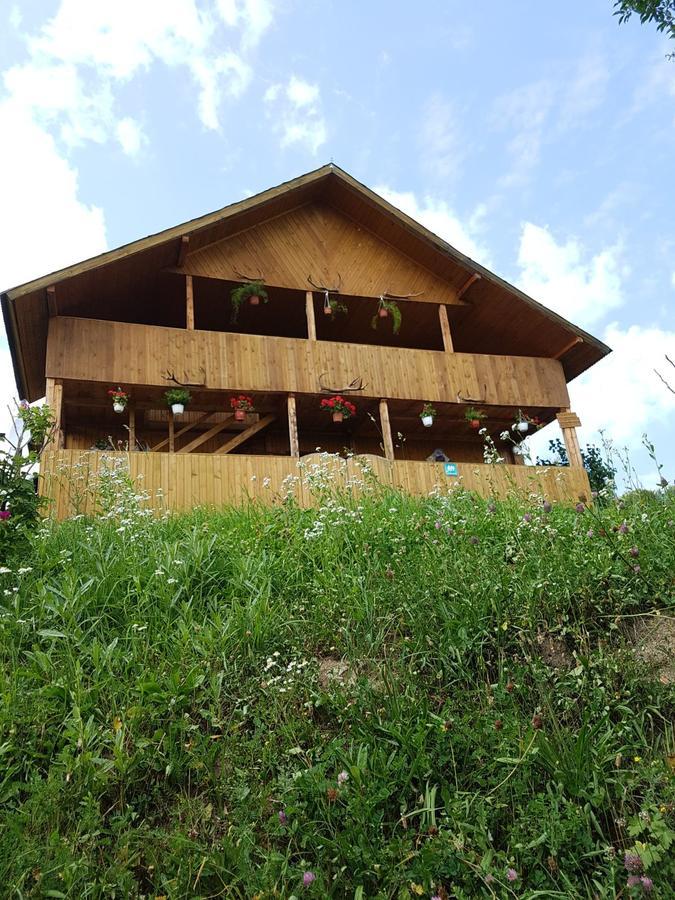 Cabana Suciu Villa Rachitele Ngoại thất bức ảnh
